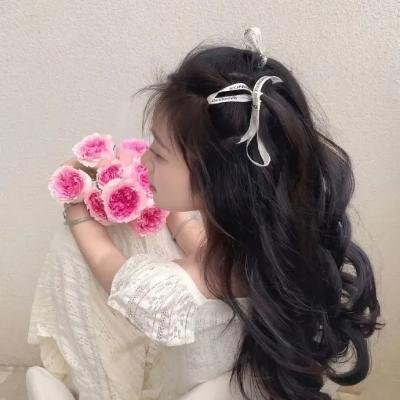 女导与强盗